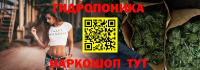 Альфа ПВП Дубна